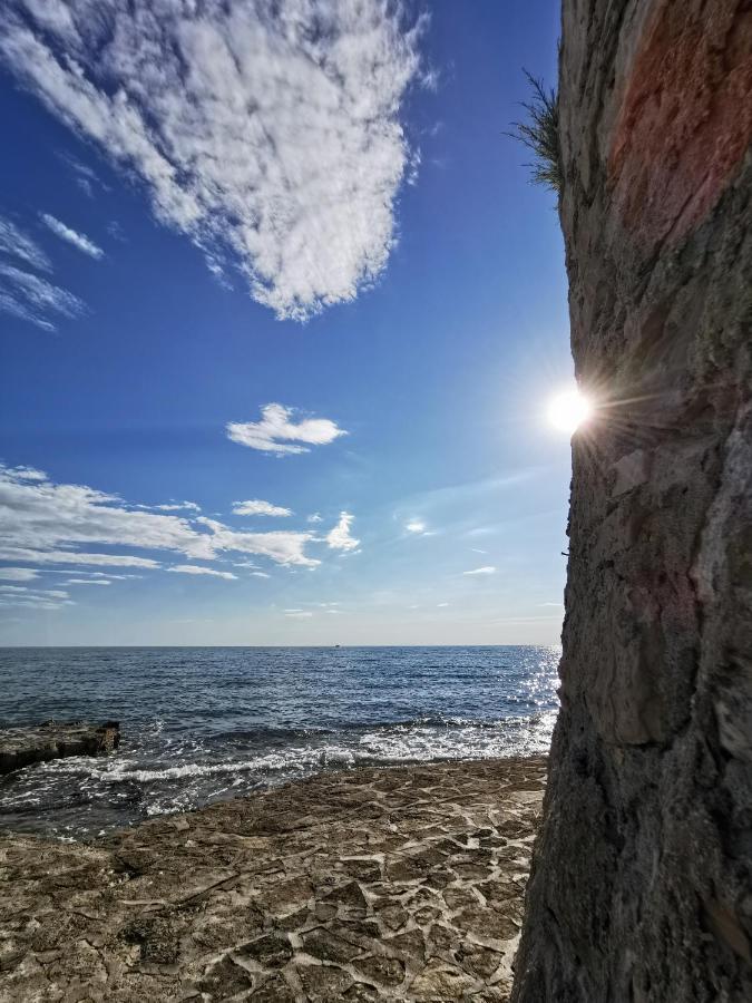 Lora Deluxe Superior 5 Star Apartment, Your Piece Of Heaven By The Sea & Park With Sea & Park View Novigrad Istria Exterior foto