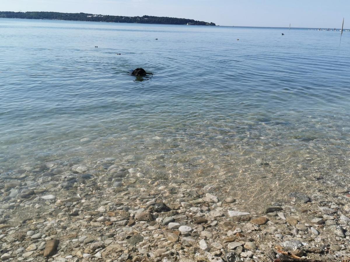 Lora Deluxe Superior 5 Star Apartment, Your Piece Of Heaven By The Sea & Park With Sea & Park View Novigrad Istria Exterior foto