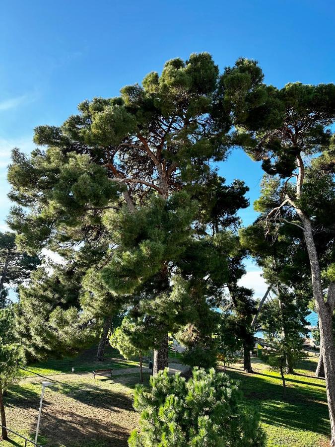 Lora Deluxe Superior 5 Star Apartment, Your Piece Of Heaven By The Sea & Park With Sea & Park View Novigrad Istria Exterior foto